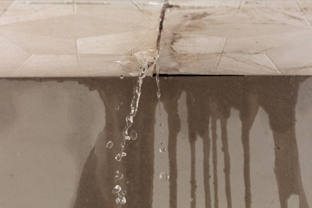 Professional Structural Drying technician working in Farmersville, TX